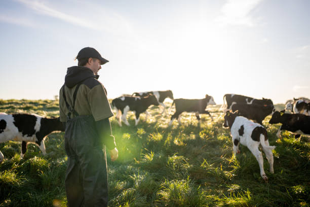 Visa Sponsorship For Agriculture Jobs in Denmark: Earn 15kr - 25kr Per hour